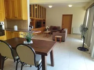 Penthouse Apartment in Nicosia - Strovolos