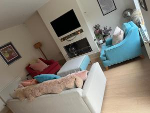 Bright, modern & close to historic town