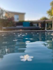Villas MAS Sun villa famille en campagne : photos des chambres