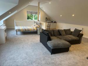 Open plan Studio Apartment