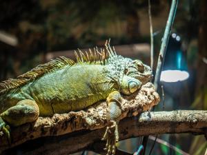 Appartements im Freizeitpark Weissenhäuser Strand