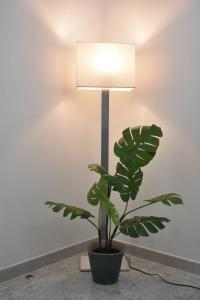 La casa di Mimmo con parcheggio privato incluso