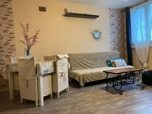 proche du campus universitaire et des pistes de ski - Rhut