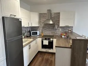 Byt v meste Michalovce - 特雷比绍夫