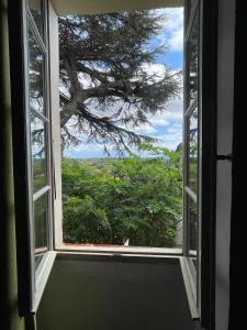 Villas La Bastide du Cedre - 20 minutes from Collioure : photos des chambres