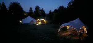 Koppány Pines Rewild Escapes - Wild Bell Tents