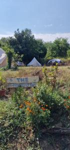 Koppány Pines Rewild Escapes - Wild Bell Tents