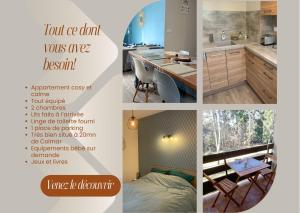 Appartements Un sejour ressourcant en Alsace entre vignes et montagnes l-Escapade Barochaise a 20mn de Colmar : photos des chambres