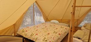 Koppány Pines Rewild Escapes - Wild Bell Tents