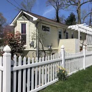 Bee by the Bay - نورث بيتش