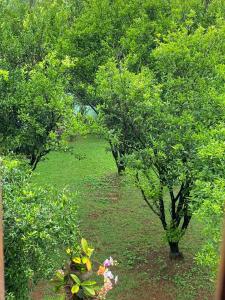 Maravilhosa casa com piscina em Lagoa Santa