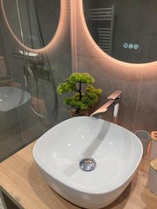 Appartements Le Belvedere Alsacien : photos des chambres