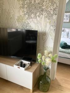 Appartements Le Belvedere Alsacien : Appartement 2 Chambres