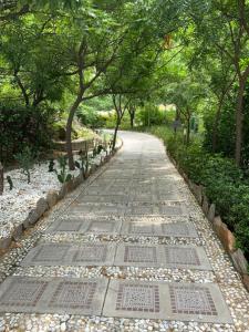 La Mejor Vista del Caribe