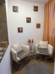 Studio cozy - Calea Moșilor