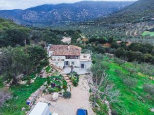 Zen Blue Elaia - Serenity and Nature in Peloponnese