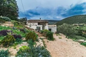 Zen Blue Elaia - Serenity and Nature in Peloponnese - Fréngaina