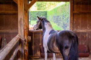 Landhaus Ferienwohnung 2, Bauernhof Hopp Vadersdorf
