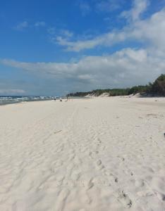 Apartament Pod Orzechem