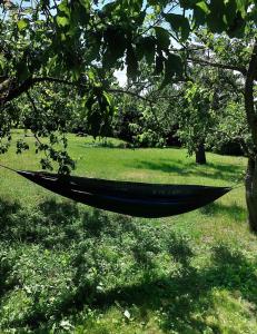 Apartament Pod Orzechem