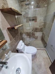 Stylish Condo with Roof top Ocean views near Mamitas Beach and 5th AVE