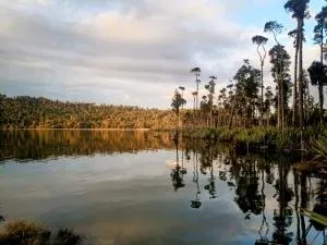 Wahapo Lodge - Ruatapu