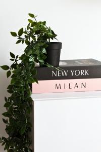 Dandy home F2 proche Paris et Aéroport Orly