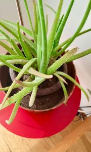 Modern, Cozy & Luxury 3BR APT in Polanco Carso