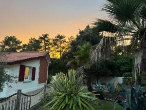 Villa Plage à 130 m SPA Piscine partagés