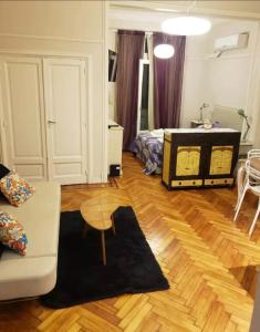 studio ambiente amplio Luminoso y calido