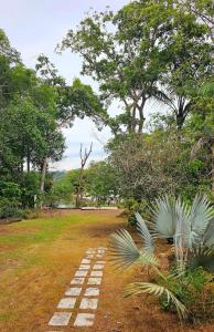 Casa Amazonika Tarumã