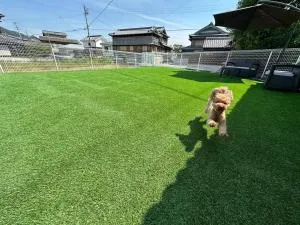 淡路屋-Awajiya vacation home-ドッグラン付き別荘 BBQ PET OK - Ikuha