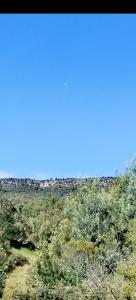 Casa Entre Pinos susa