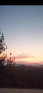 Casa Entre Pinos susa