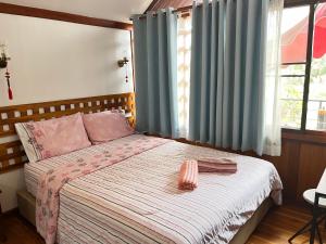 Countryside Rainbow Sweet Home Freshy Pets