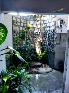 Ancient Gardens Villa