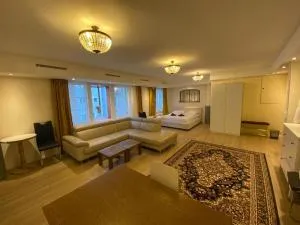 Blick auf Schwarzen Turm - Gebenstorf