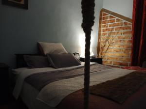 Petra Musa Rural House