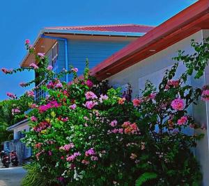 Jazz guest house