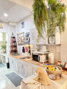 candy house ที่พักวัวลาย เชียงใหม่