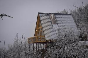 The Cabin Thachi