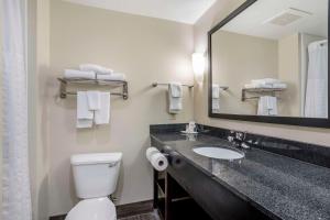 Comfort Suites Knoxville East
