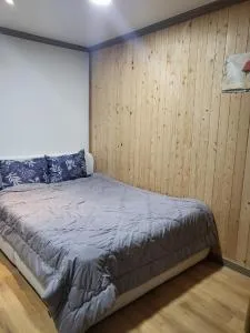 Cheongdo Persimmon Ville Pension - Miryang