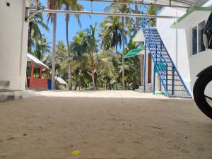 Coco farm