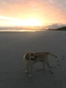 Stay in School by the Sea - New Haven