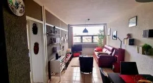 Very bright apartment in the center of the city - Genf