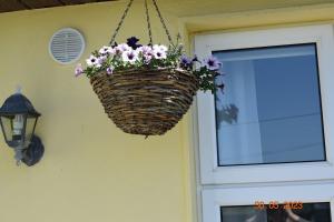 Hillgrove, Borrisokane