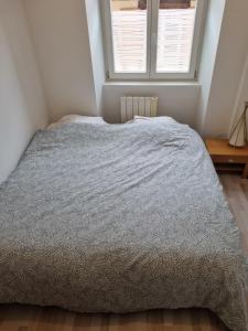 Appartements La cigogne d-Alsace 2 : photos des chambres