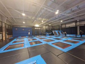 Appartements La cigogne d-Alsace 2 : photos des chambres