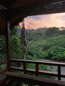 Gate to Nature - guesthouse and jungle trek